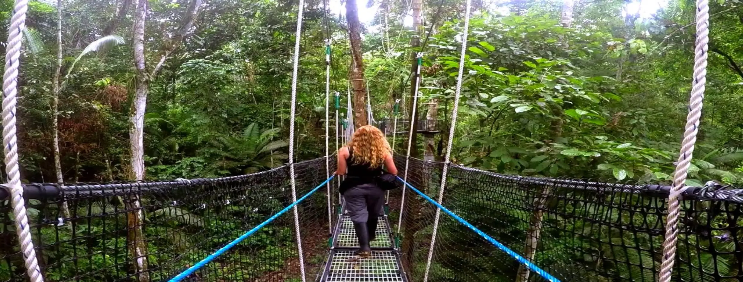 Image for Treetop Canopy Adventure